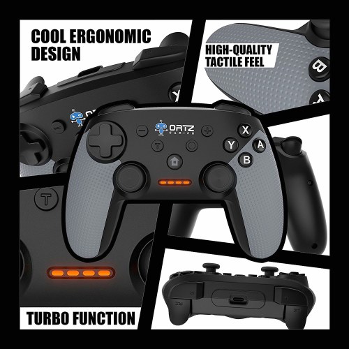 #2 Ortz Switch Pro Controller